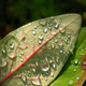 Image for article titled Shooting Challenge: Spring Gallery 2
